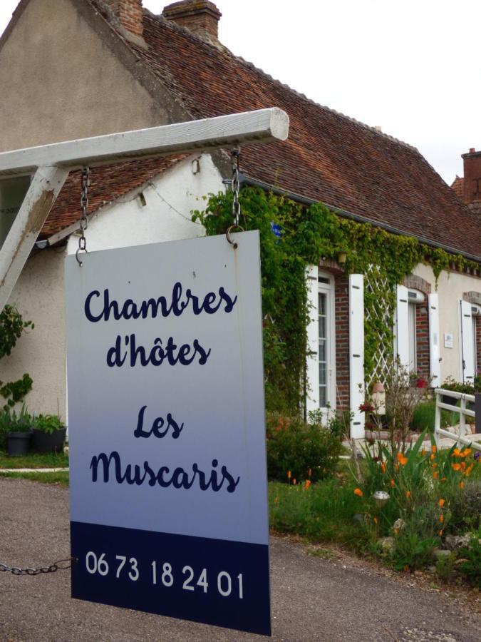 Feins-en-Gatinais Chambres D'Hotes Les Muscaris מראה חיצוני תמונה
